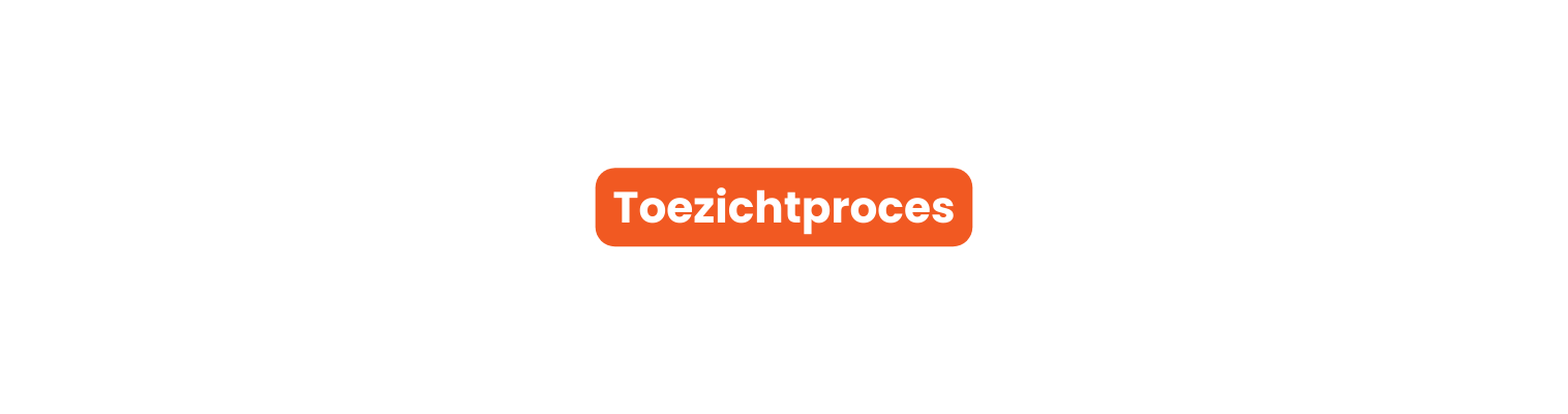 Toezichtproces
